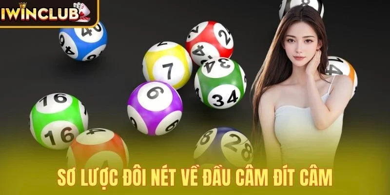Sơ lược đôi nét về đầu câm đít câm